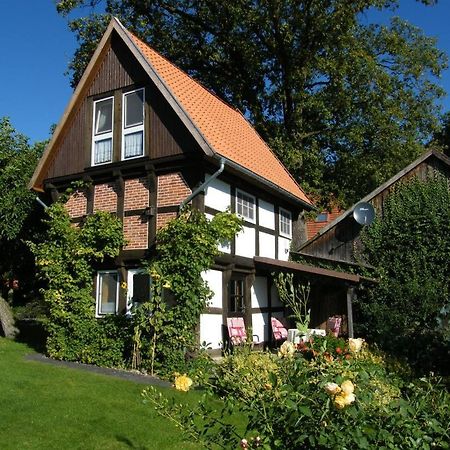 Neu! Bauern-Speicher Anno 1606 Wienhausen ภายนอก รูปภาพ